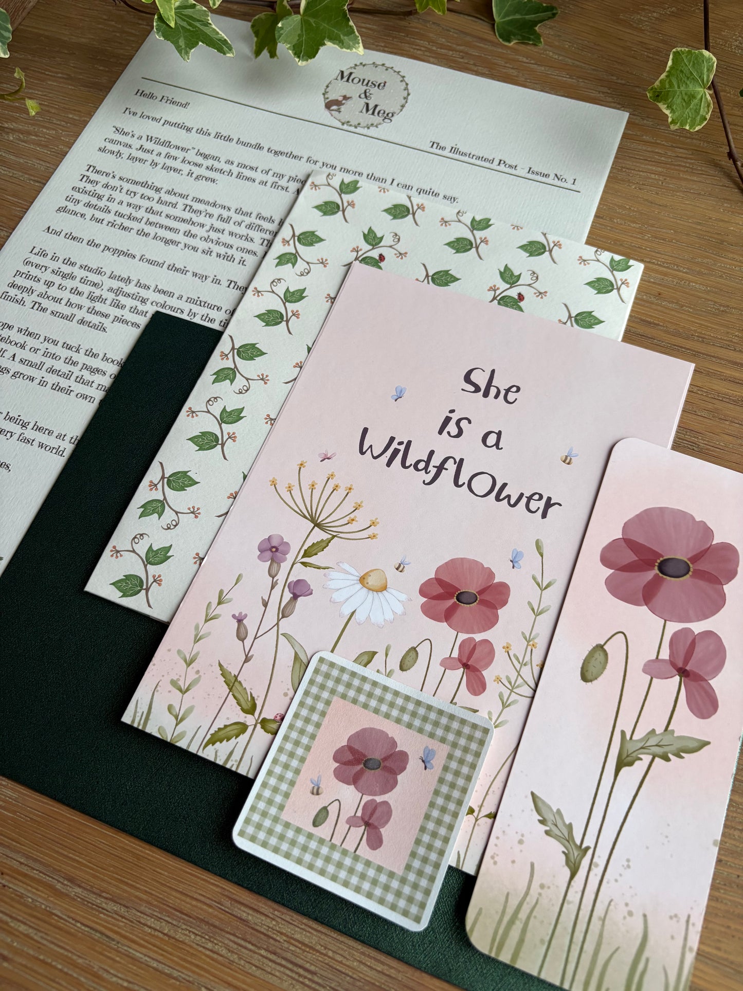 The Illustrated Post from Mouse & Meg