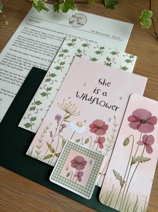 The Illustrated Post from Mouse & Meg