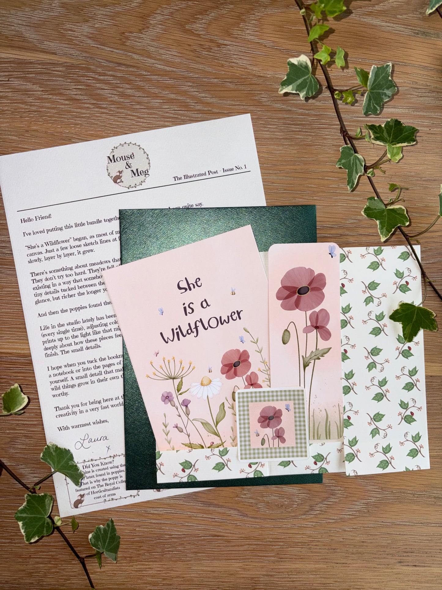 The Illustrated Post from Mouse & Meg