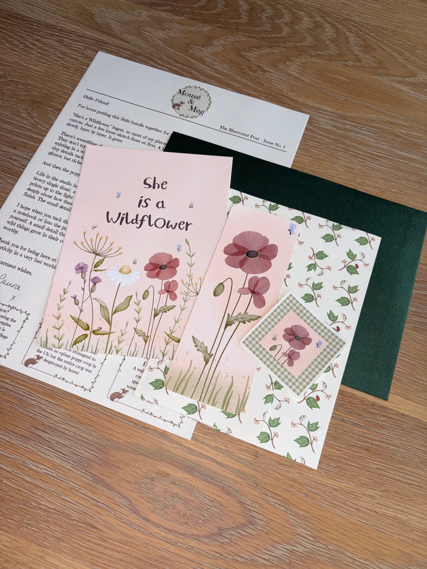 The Illustrated Post from Mouse & Meg