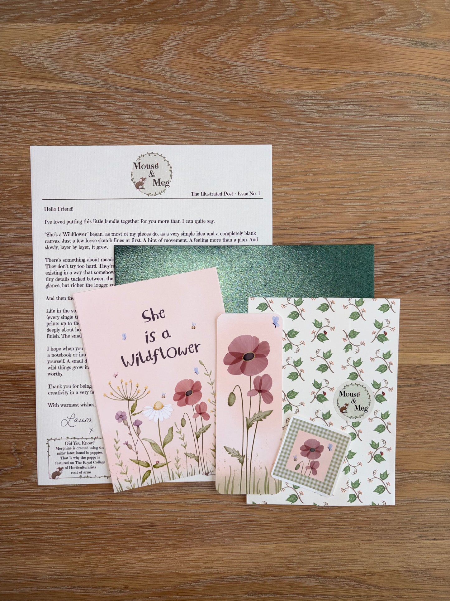 The Illustrated Post from Mouse & Meg